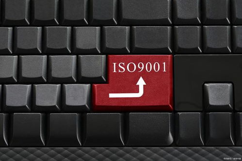 為何這些企業無需進行ISO 9001認證？
